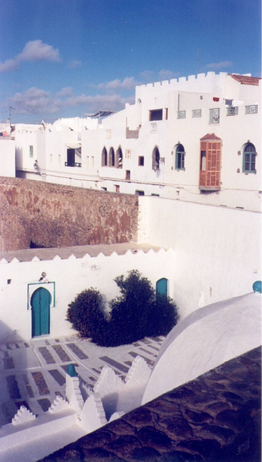 View of Qubba Sidi Ahmed al-Mansour