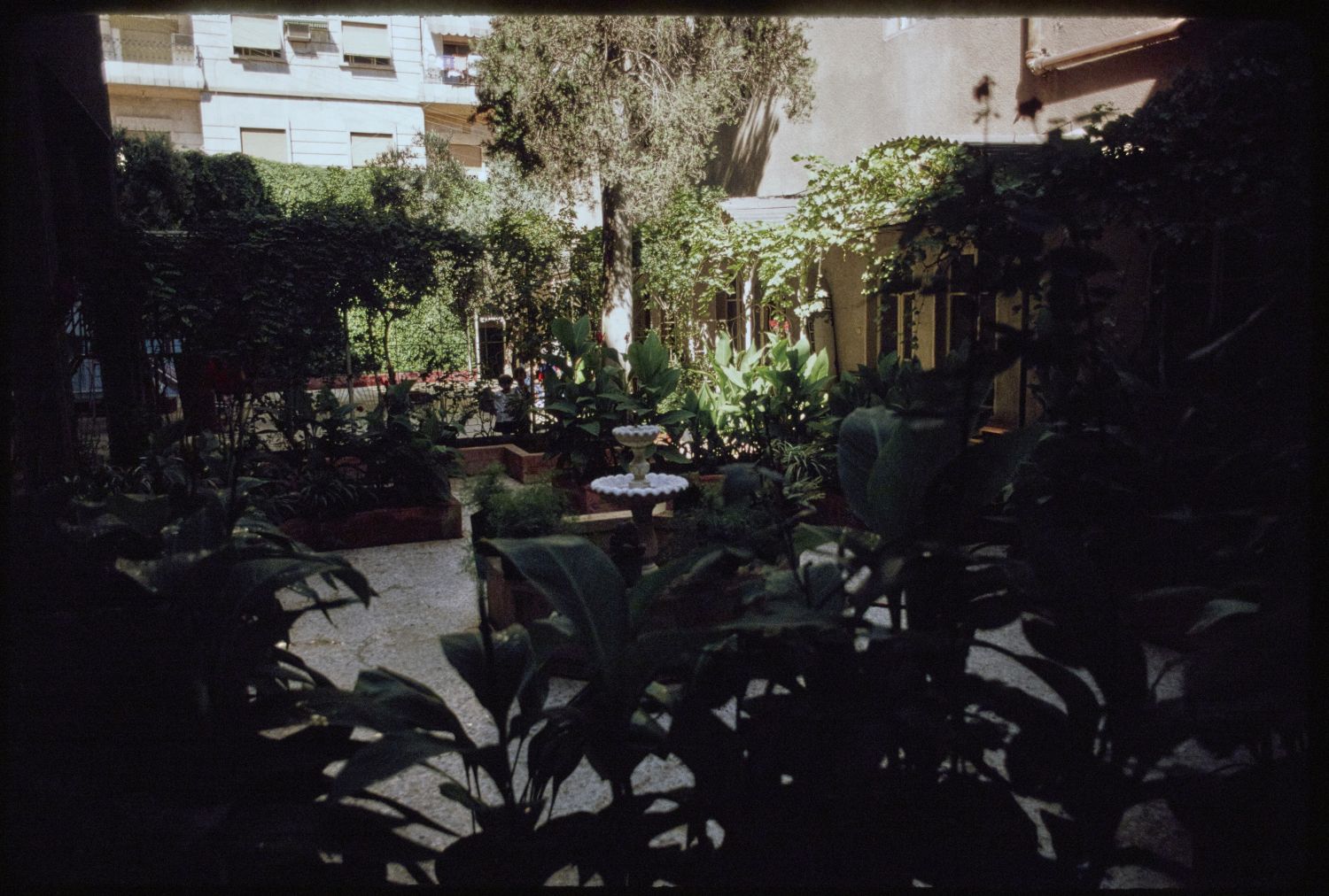 View of courtyard.