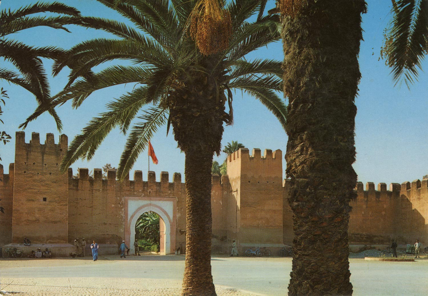 View of palm trees, walls, and towers