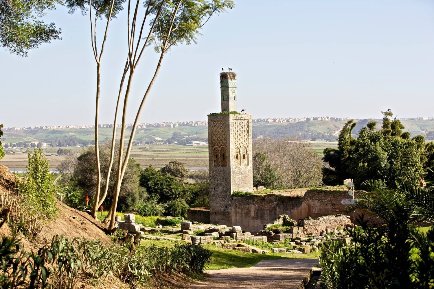 General view of the ruins, mosque and minaret looking toward the Bouregrag River