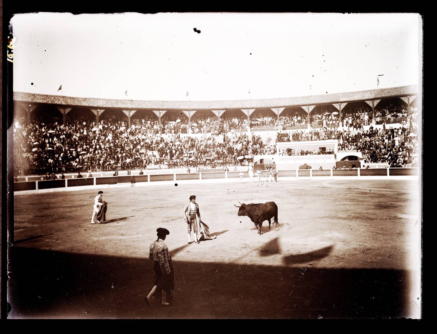 Three matadors in the ring with a bull