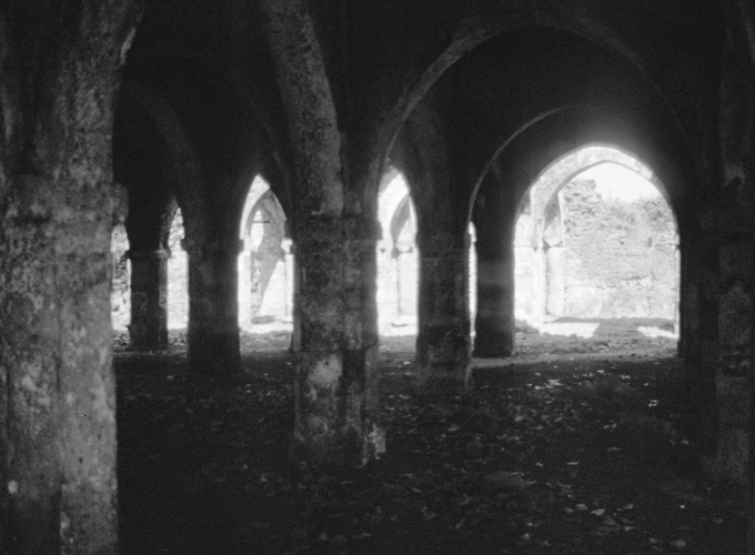 Interior vaults of south hall looking northeast.