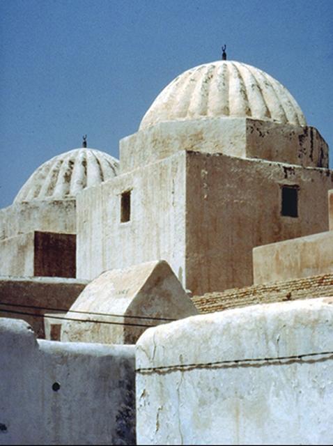 Exterior detail of domes, mausoleum of Sidi Abada