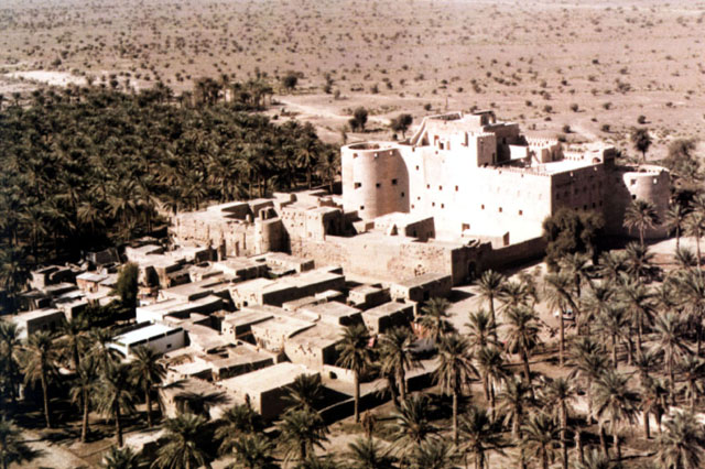 Aerial view showing mud brick fortress in desert-scape