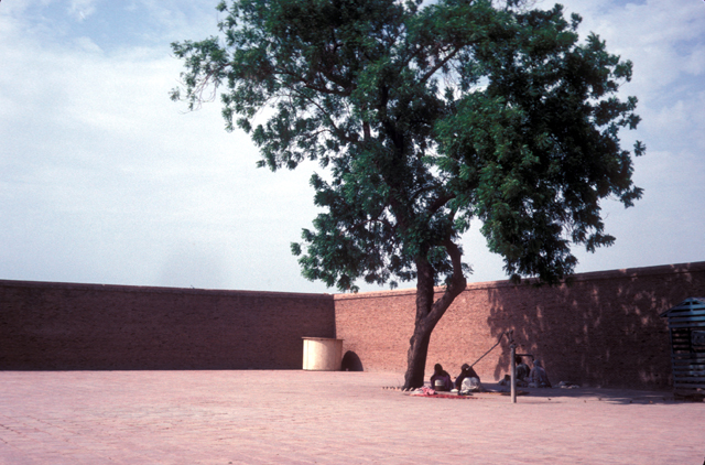 Southeast corner of the precinct wall, with tree