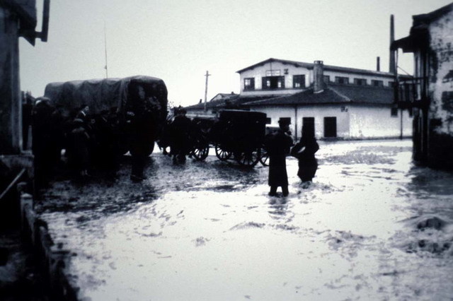 Historic view of market hall, circa 1950