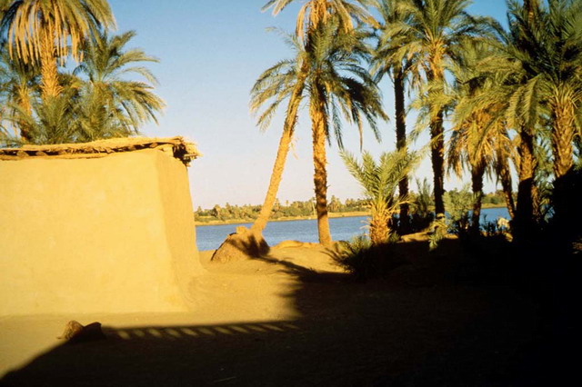 Village located on the bank of the Nile