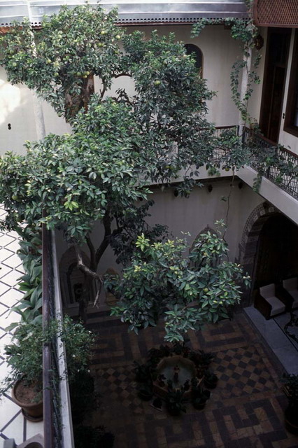 View of court and lemon tree from first floor gallery