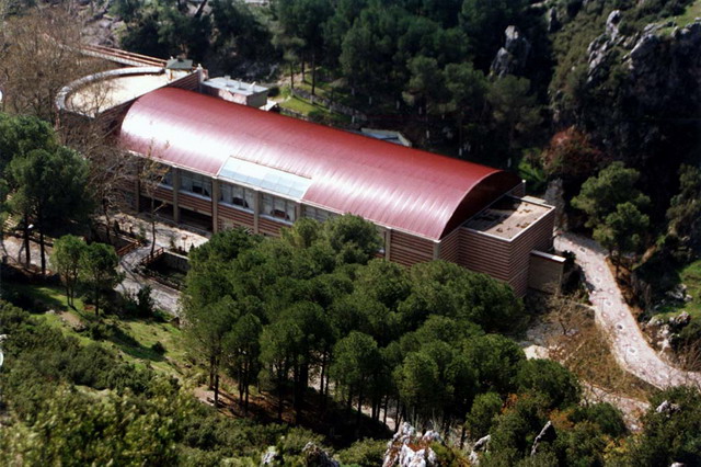 Curved roof, aerial view, forest