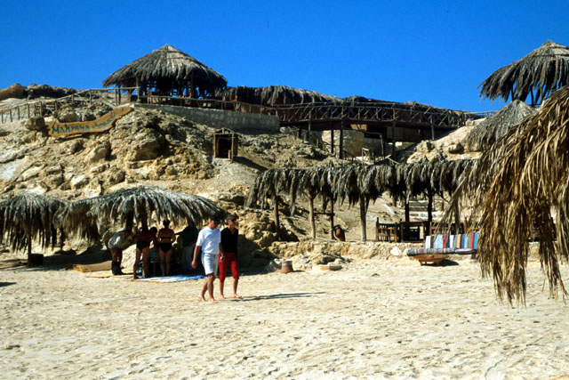 Exterior view showing levels of palm frond shelters