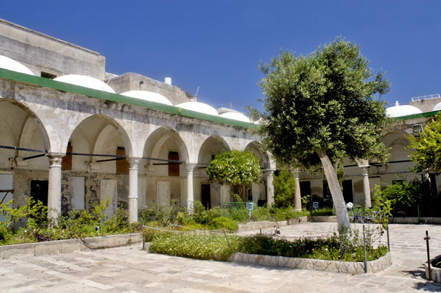 View of courtyard arcade and olive tree