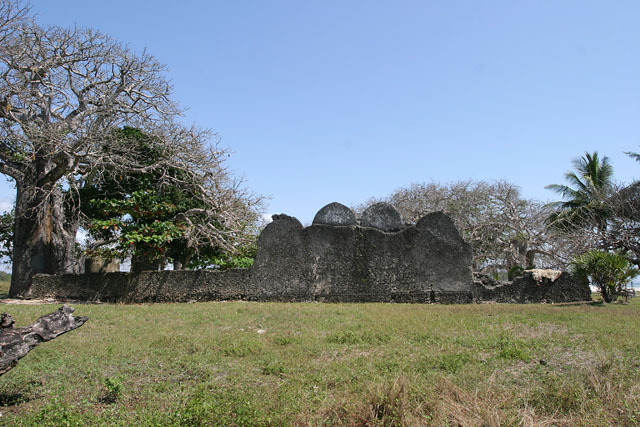 Exterior view of mosque; side elevation with ends of vaults and garden wall