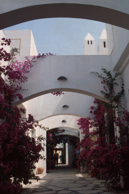 View to planted archways