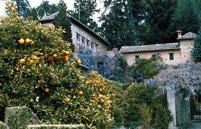 Exterior view with wisteria and oranges