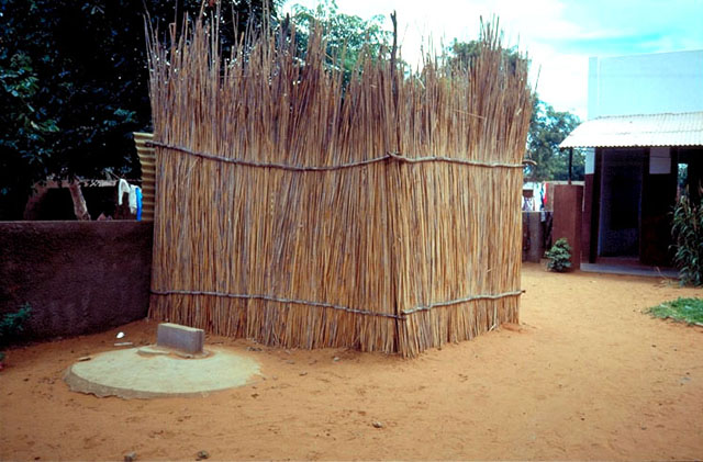 Bamboo structure