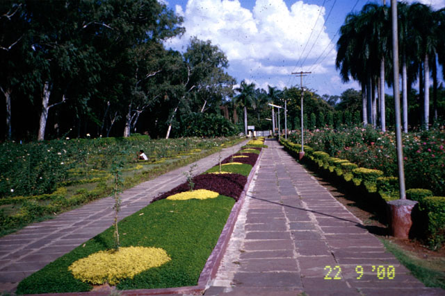 Exterior view showing pathway and plantings