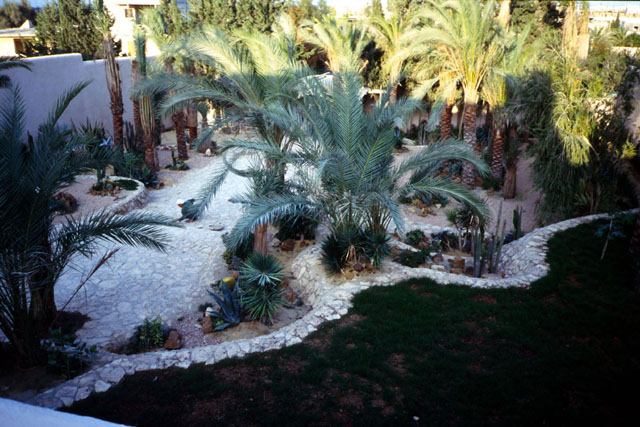Exterior view of palm garden