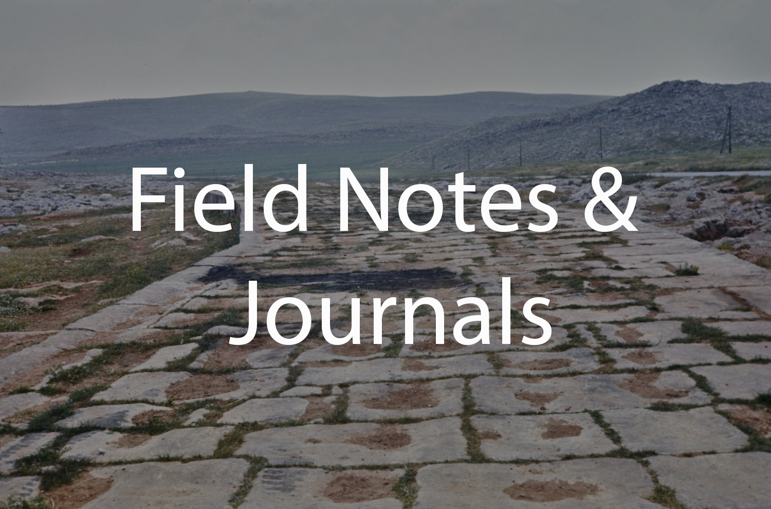 Field Notes and Journals (Tabbaa Archive)