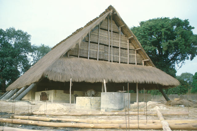Exterior view showing pitched thatched roof and screens