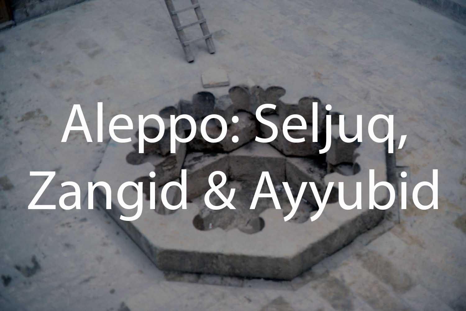 Aleppo: Seljuq, Zangid and Ayyubid Period Monuments (Tabbaa Archive)