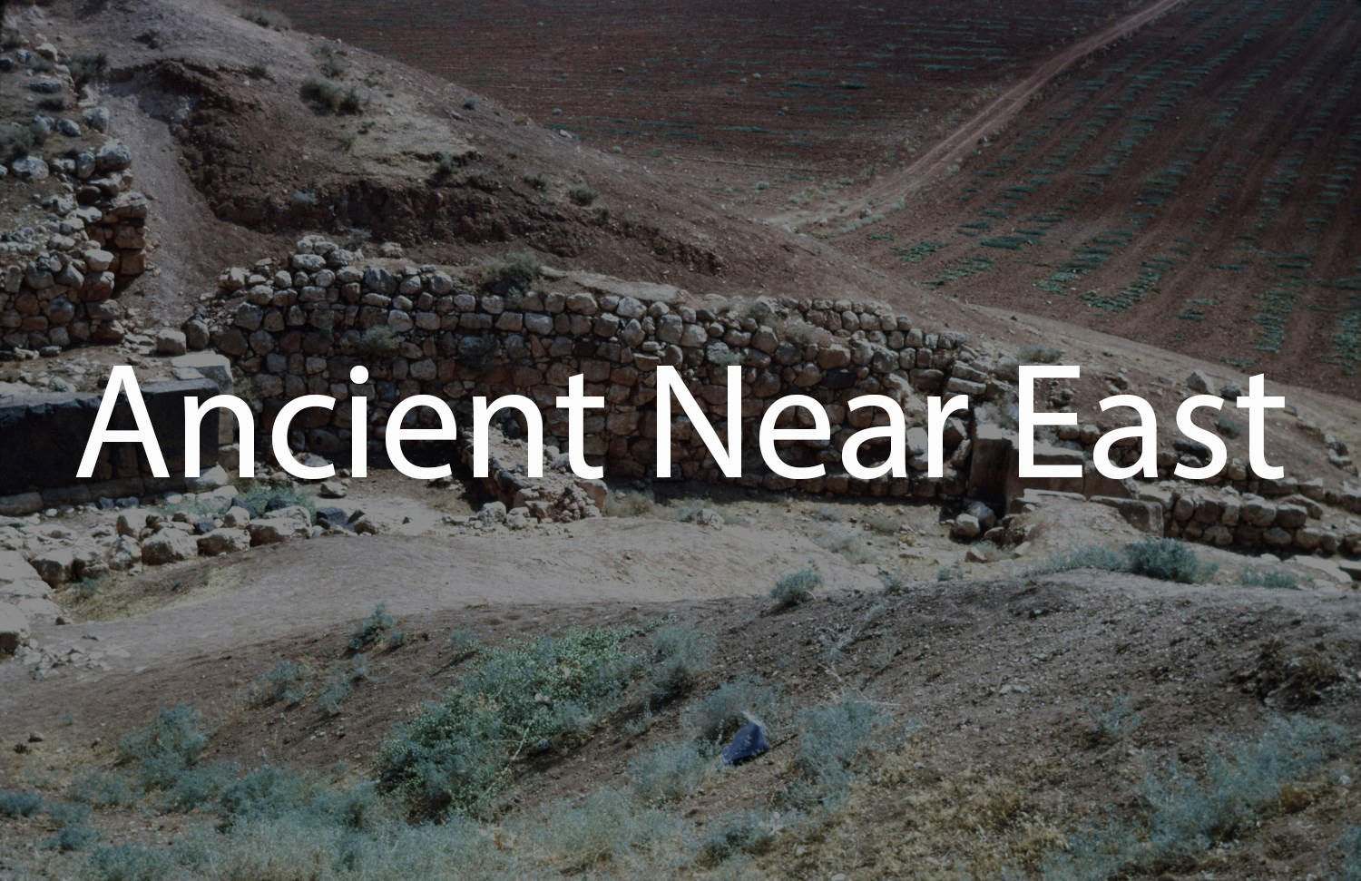 Ancient Near East (Tabbaa Archive)