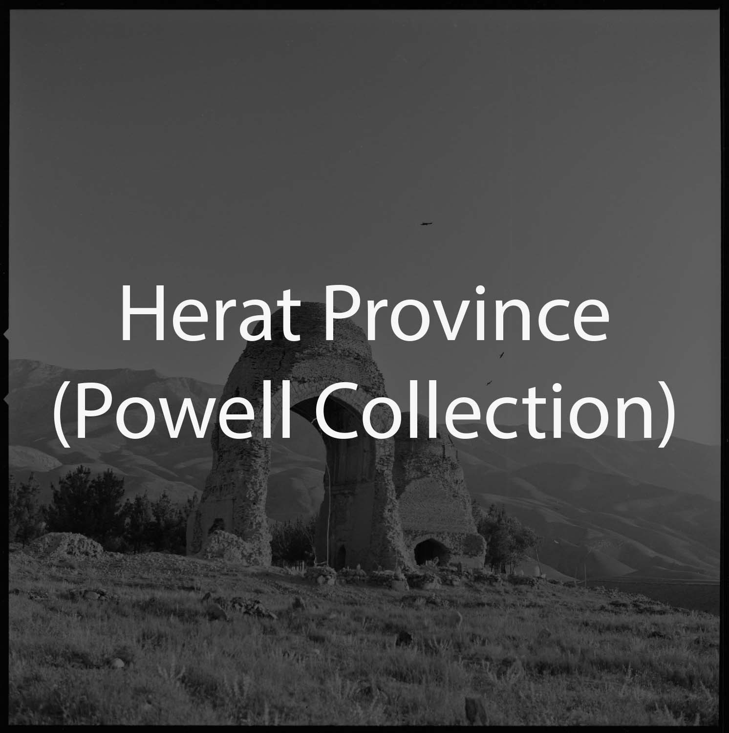 Herat Province (Powell Collection)