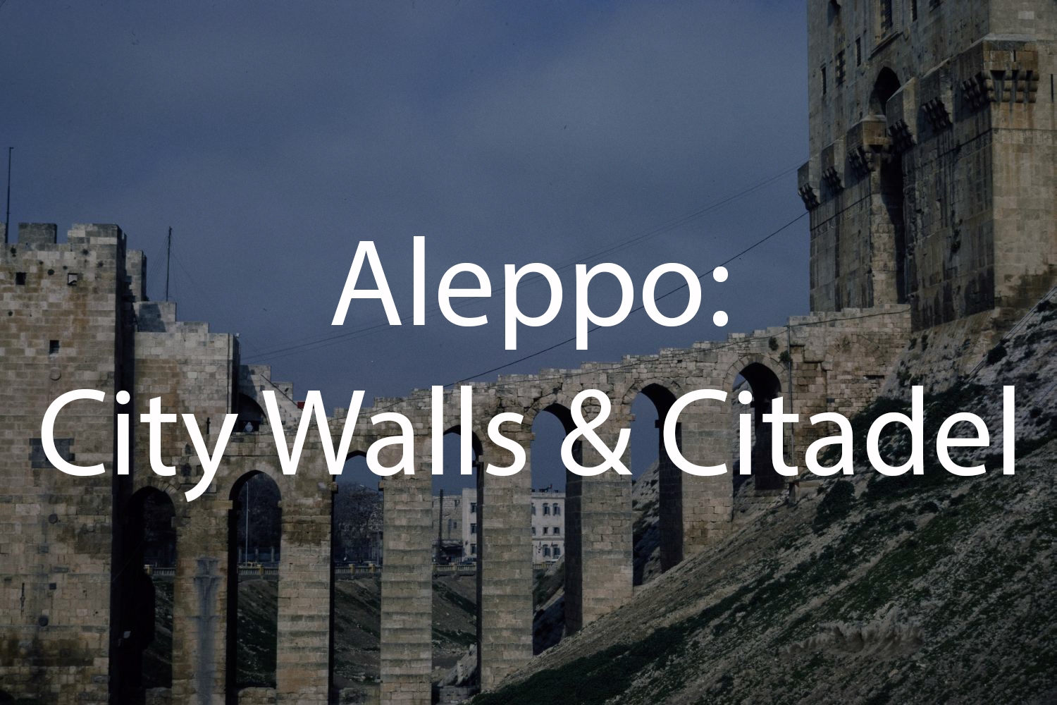 Aleppo: City Walls and Citadel (Tabbaa Archive)