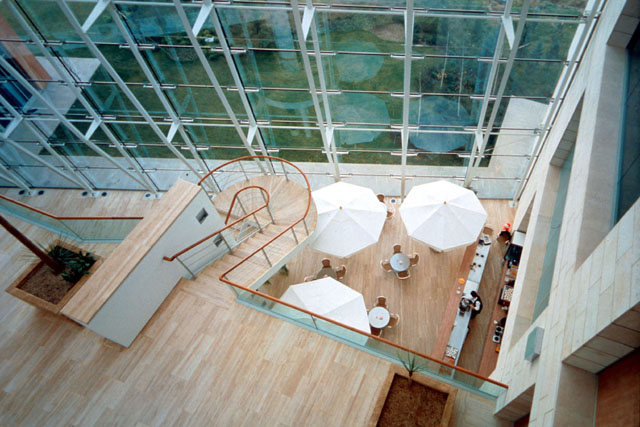 Interior view from above showing white pine floors and details and glazed façade