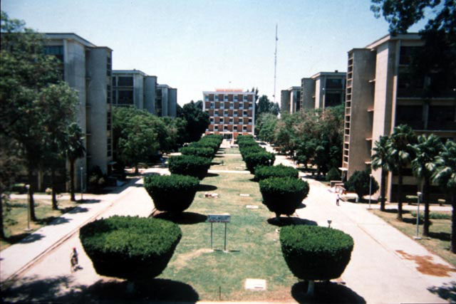 View along public plaza