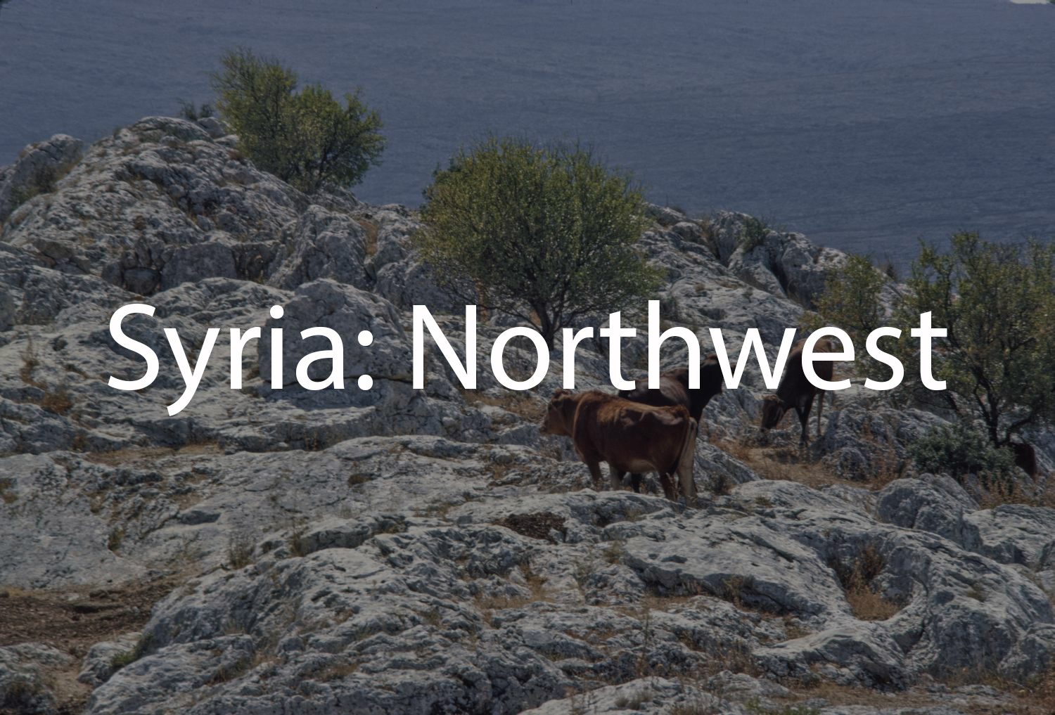 Syria: Northwest (Tabbaa Archive)