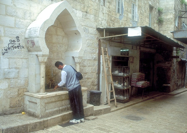 Street view, the restored Upper Salahi fountain