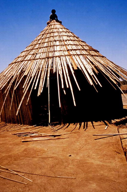 Conical roof with bamboo structure thatch put on dwelling by younger generation