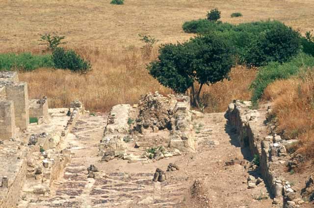 Remains of sabat (covered walkway) that connected congregational mosque (remains at left) to upper terrace