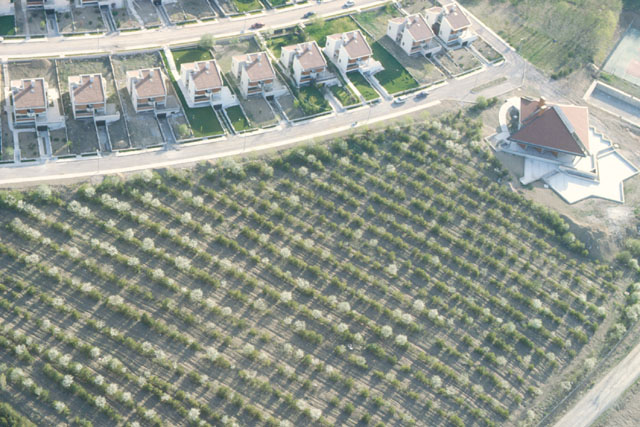Aerial view showing modular housing in rows mirroring plantings