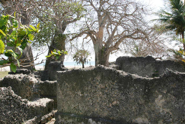 View of ruined structure with baobab trees and Diani beach beyond