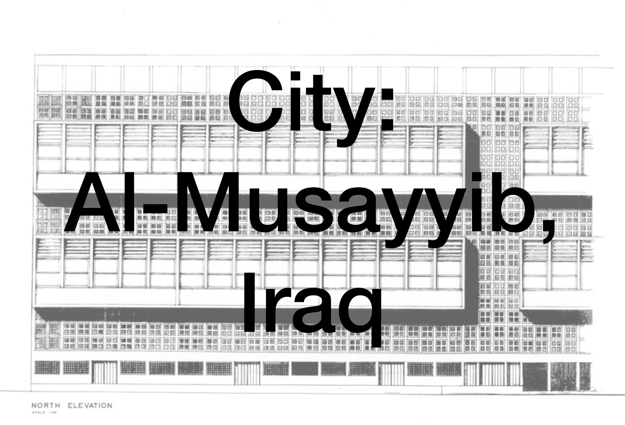  Al-Musayyib