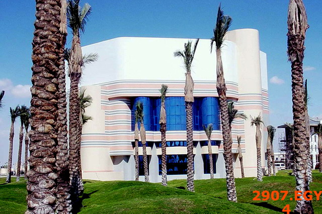 Exterior view with palm trees