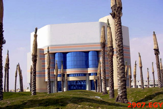Exterior view with palm trees