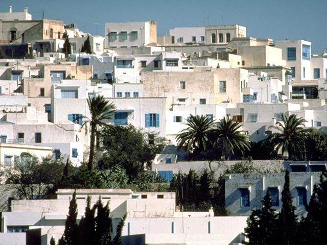 Sidi Bou Said Conservation - <p>View of the village</p>
