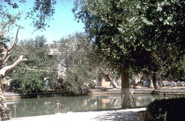 Labihovuz Ansambli - View  of pool