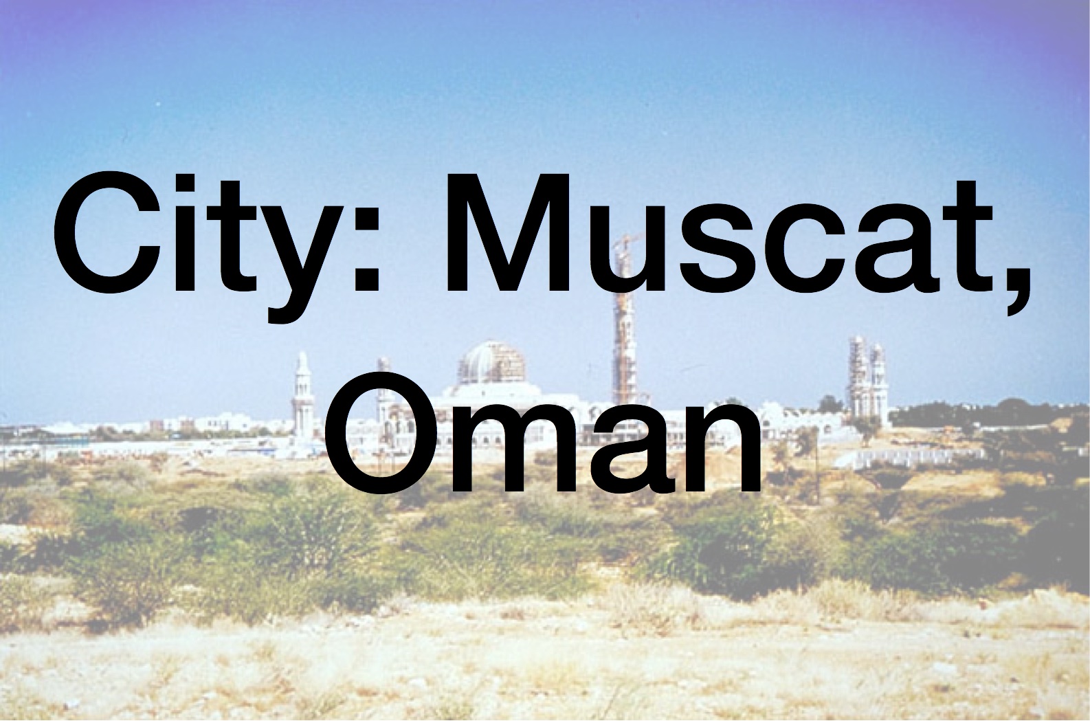  Muscat