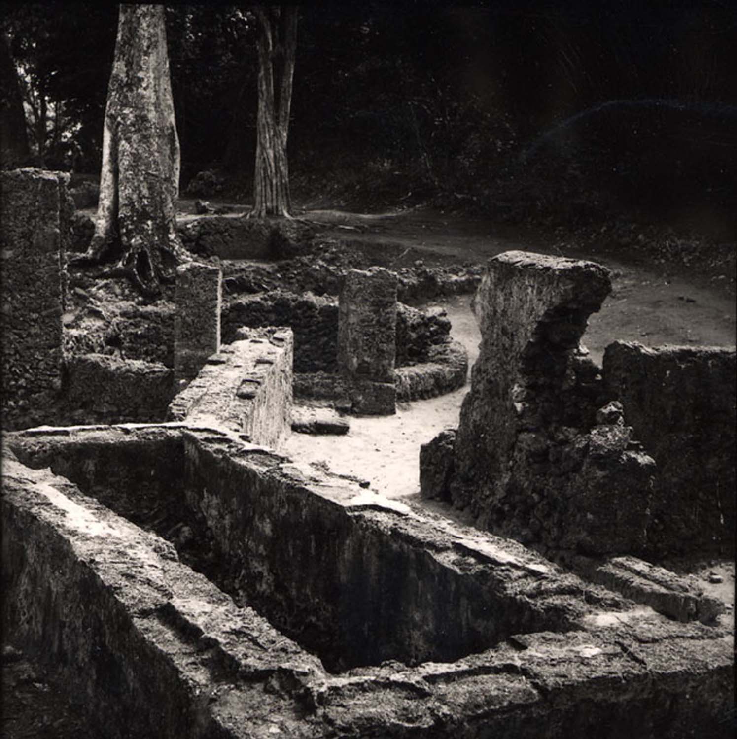 Great Mosque of Gedi - View of <i>mandamaji</i>, a cistern lined with square tiles of cut coral, and aqueduct outside mosque