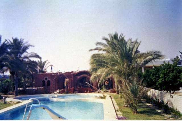 Residential garden with pool and palm trees