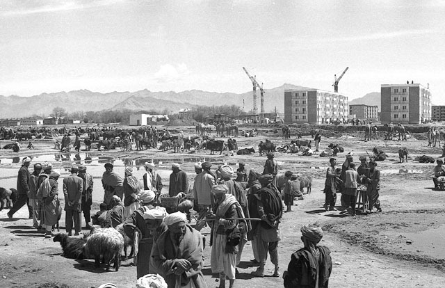 General view of the housing project, under construction, with Ramadan livestock market in foreground