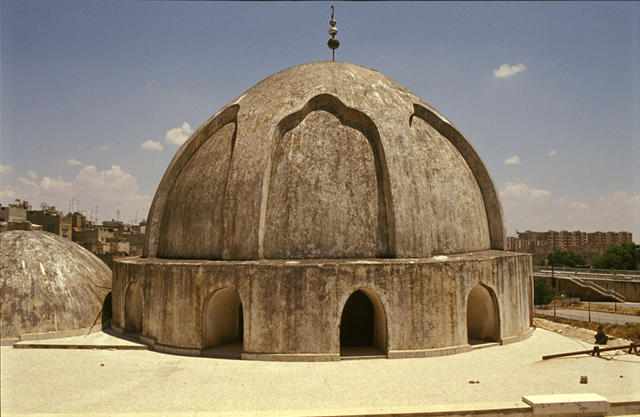 Roof view, prayer hall domes from west