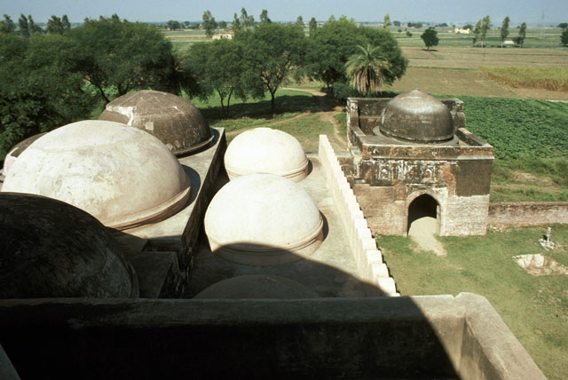 View from roof. North half of mosque and the north stone gateway