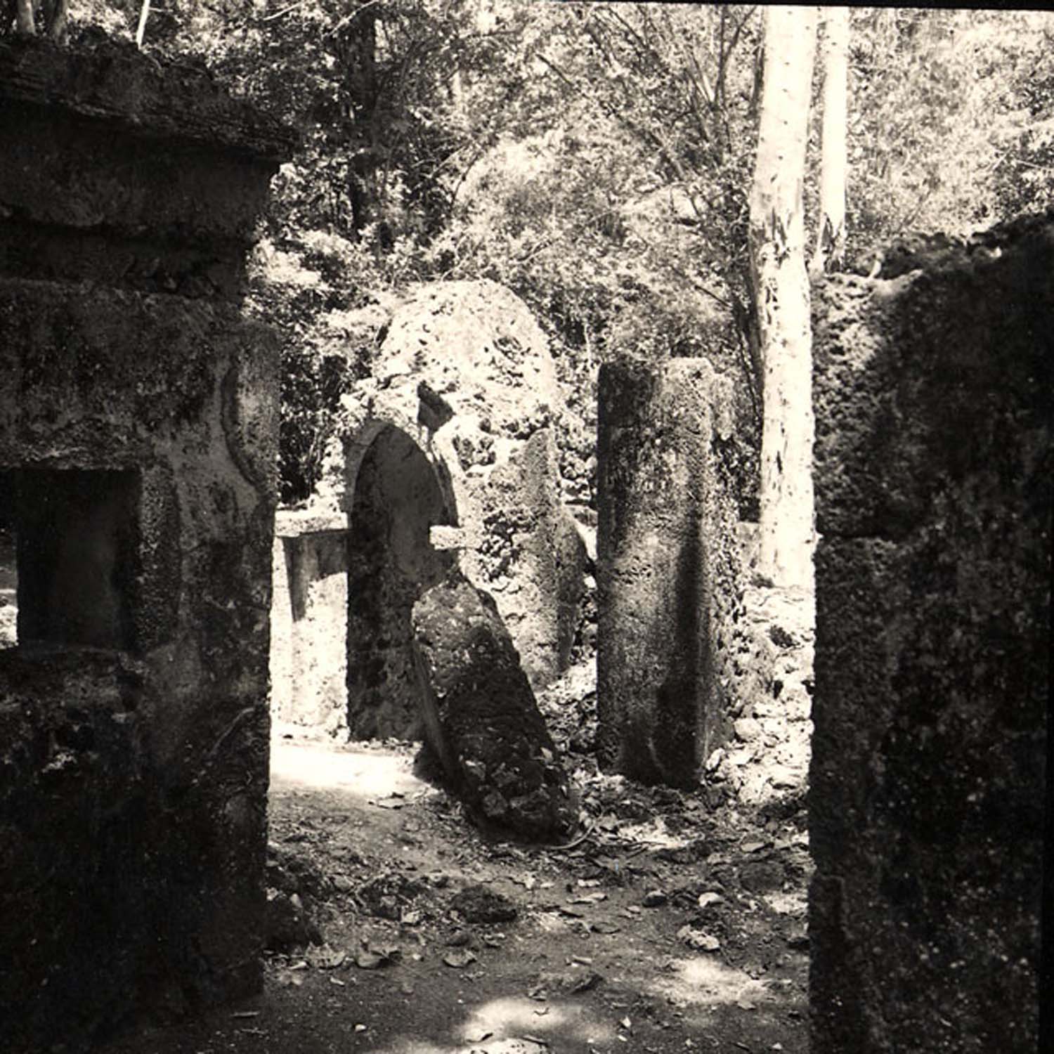 General view of the extant walls of the ruined mosque