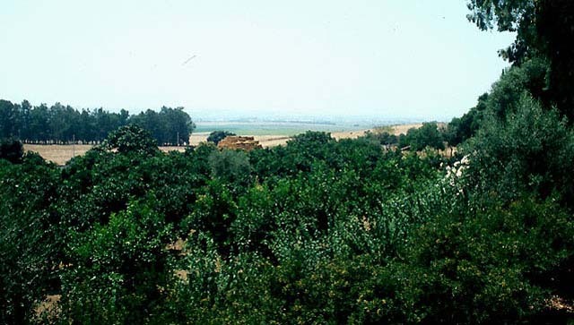 View of countryside from upper terrace