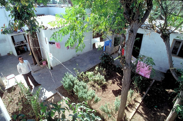 <p>Bird's-eye view into a courtyard with garden and laundry lines</p>