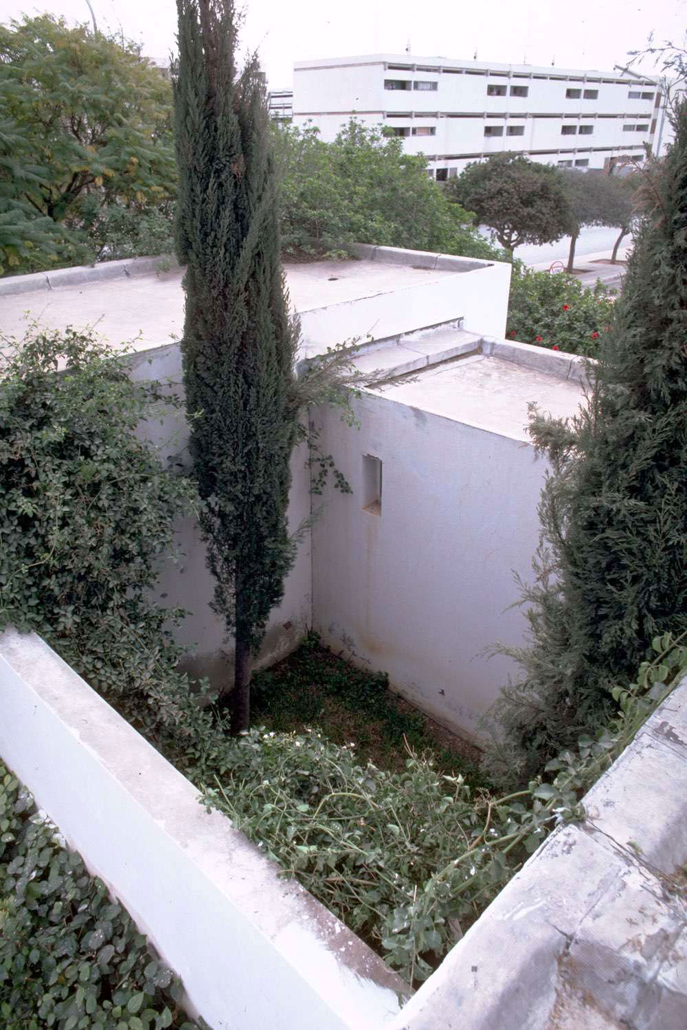 <p>A landscaped private courtyard</p>